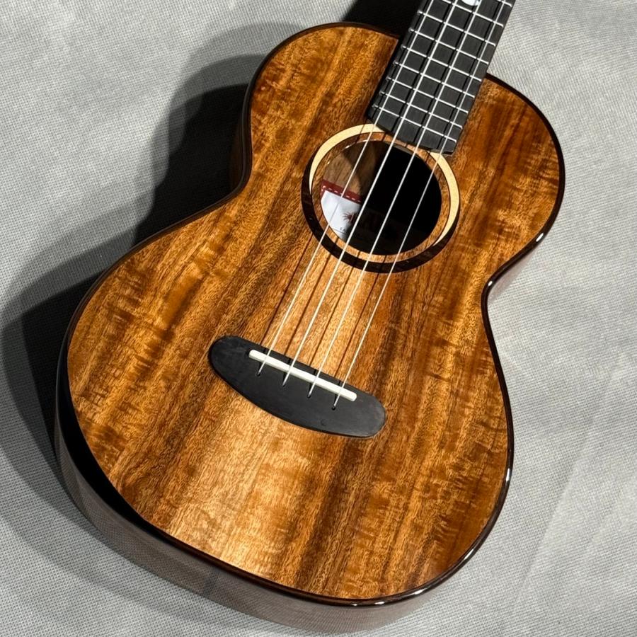 KALA KALA KA-CT-SA-TG CONTOUR ALL SOLID GLOSS ACACIA TENOR カラ