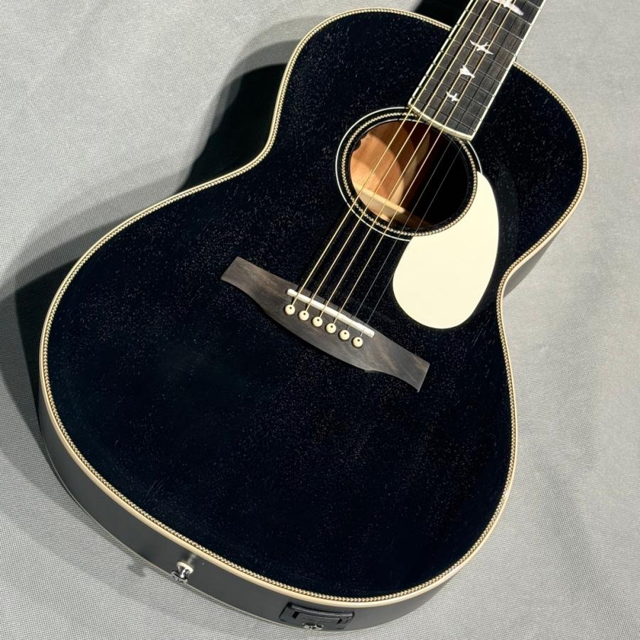 Paul Reed Smith（ポールリードスミス） PRS SE P20E DG Dog Hair