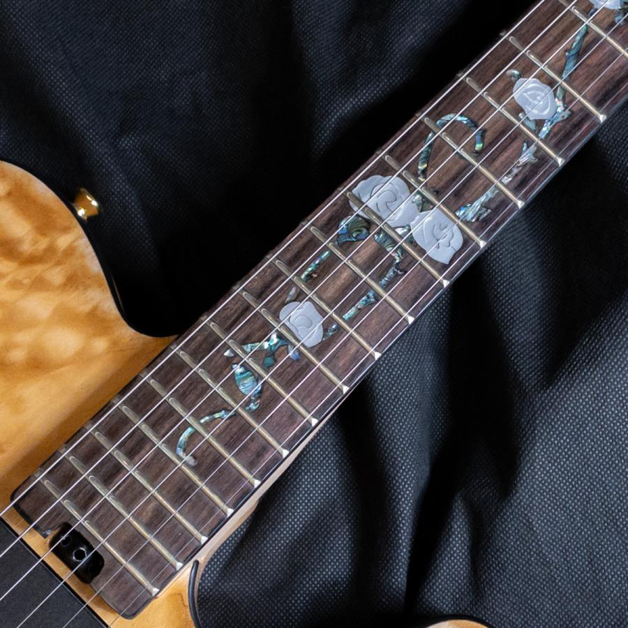 Aria Proll 【1本限りアウトレット特価】 ProII TEG-780 N