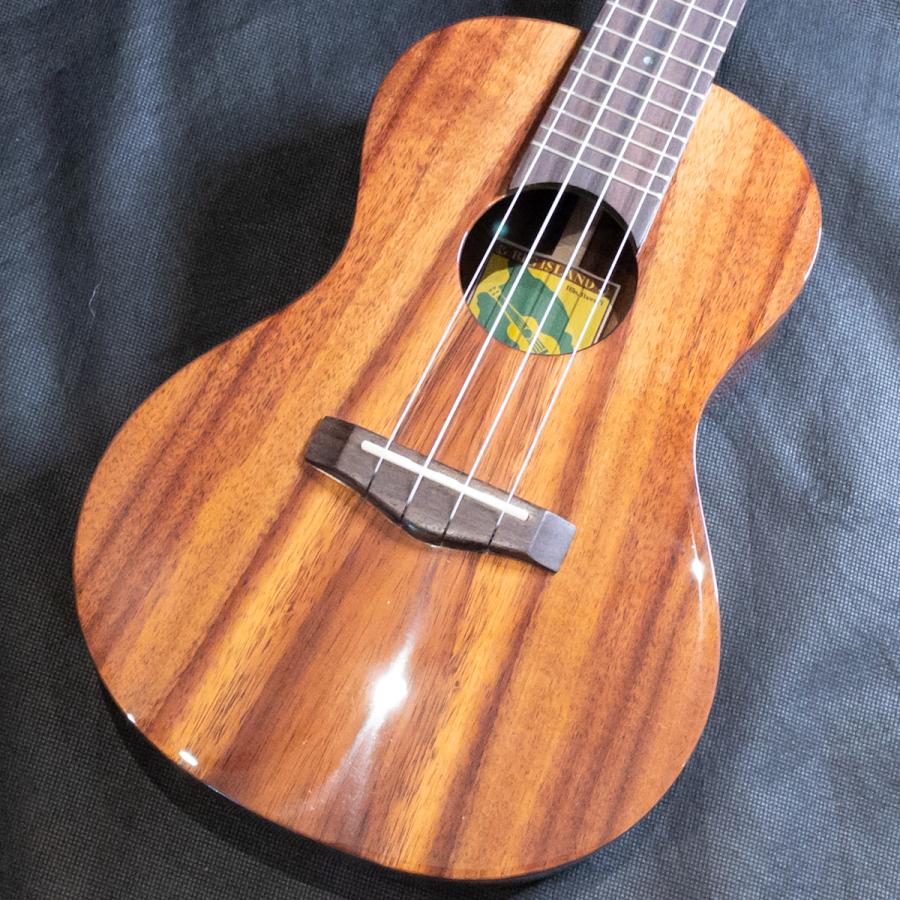 BIG ISLAND ビッグアイランド KT-CTS コンサートウクレレ 単板コア材  