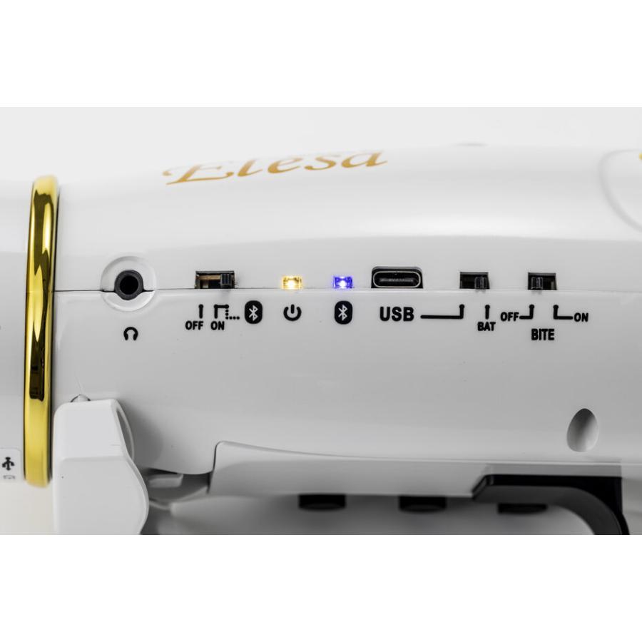 TAHORNG ELS10RD/専用バッグ付属 レッド タホーン 電子サックス
