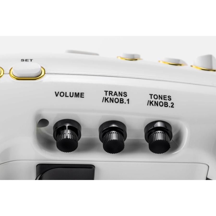 【未開封新品】タホーンELS10RD　 電子サックス Elesa10 バッグあり TAHORNG Elesa10 (ブラック) 専用キャリングバッグ付 電子