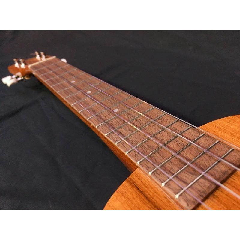 Famous FC-5G コンサートウクレレ ハワイアンコア材合板ボディ ソフト
