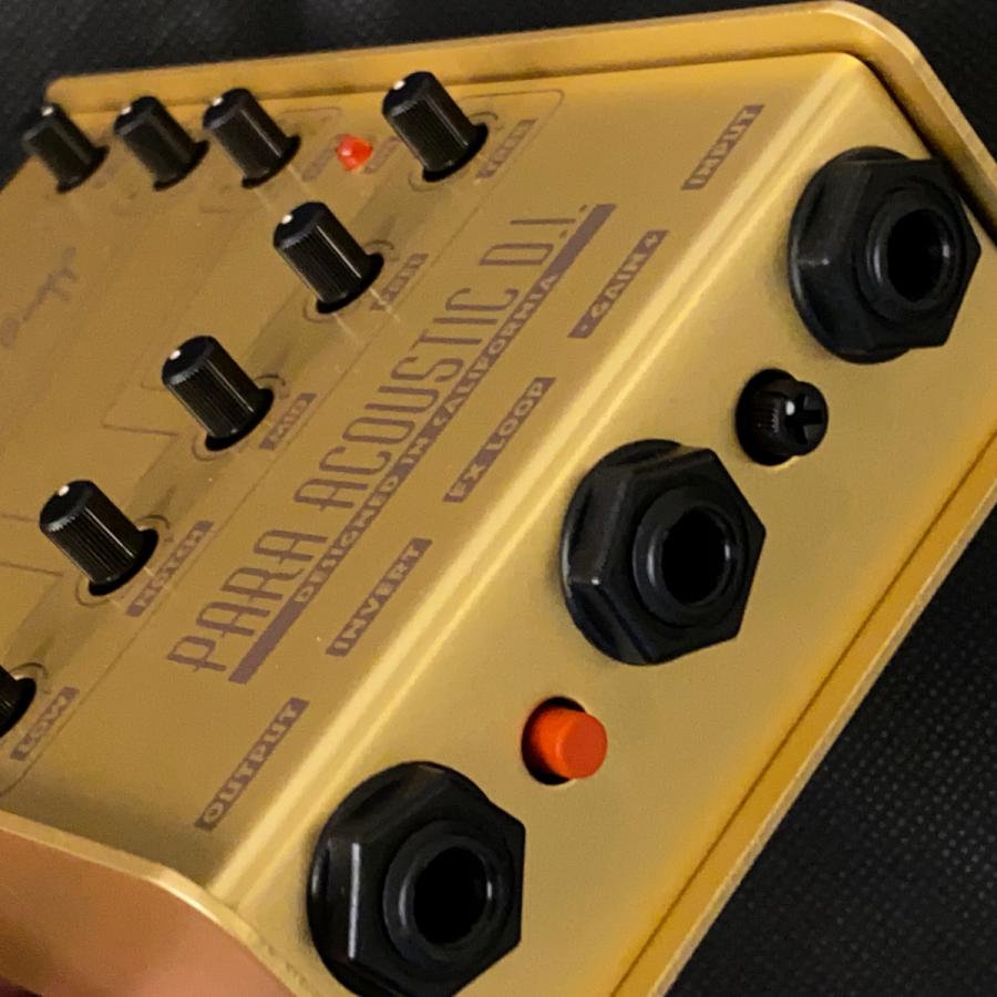 L.R.Baggs Gold Para D.I. 50周年記念限定モデル アコースティック