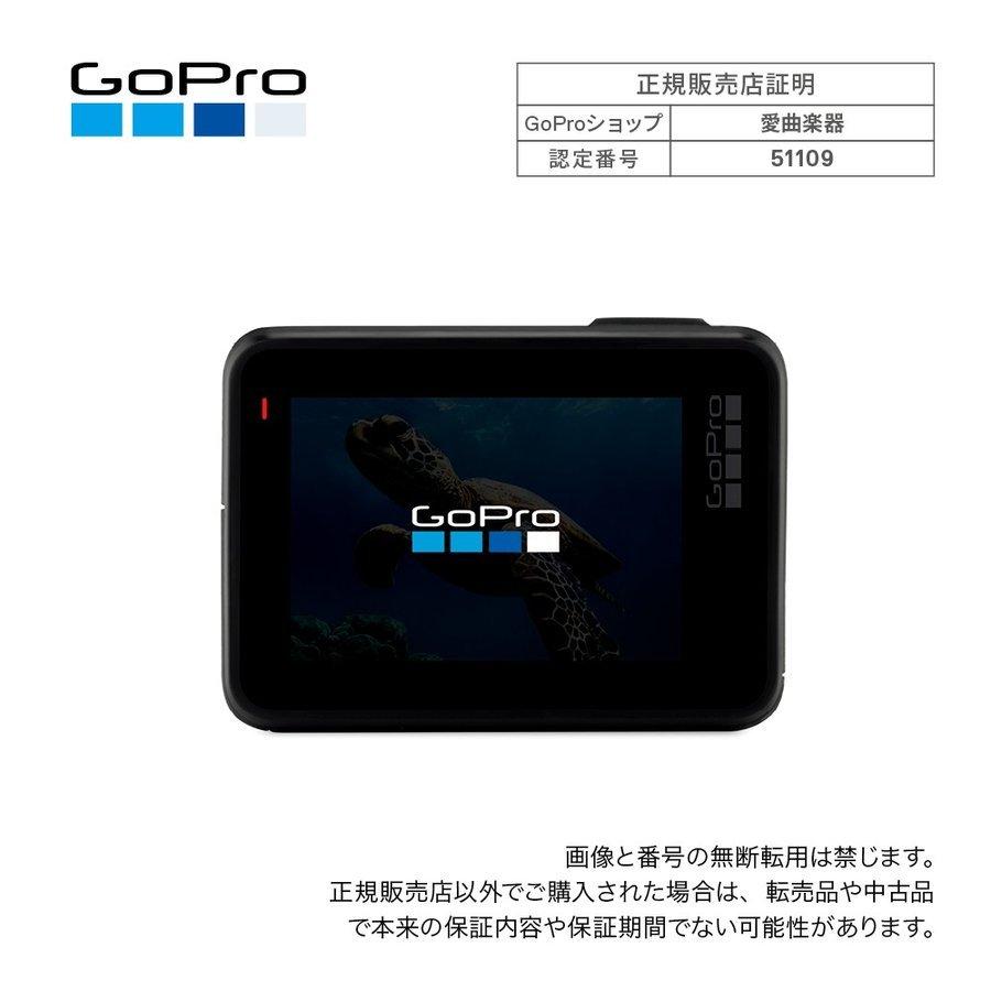 GoPro ARMTE-002-AS Smart Remote 長距離対応リモコン :gopro 