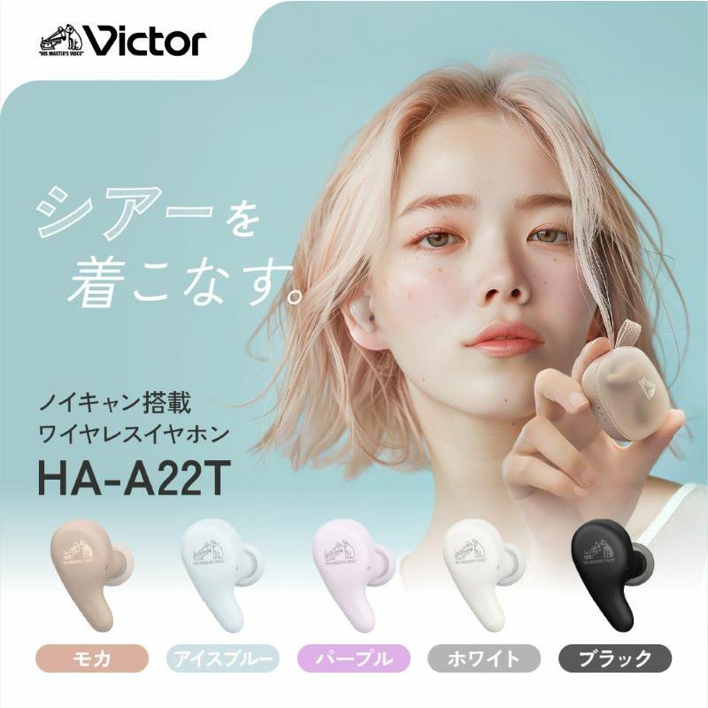 Victor(オーディオ) JVCケンウッド Victor HA-A22T-V ノイズ