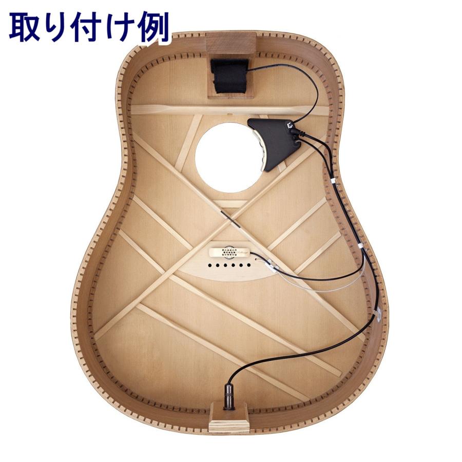 楽器、器材 L.R.Baggs Anthem L.R.バッグス マイク+ピエゾ デュアル 