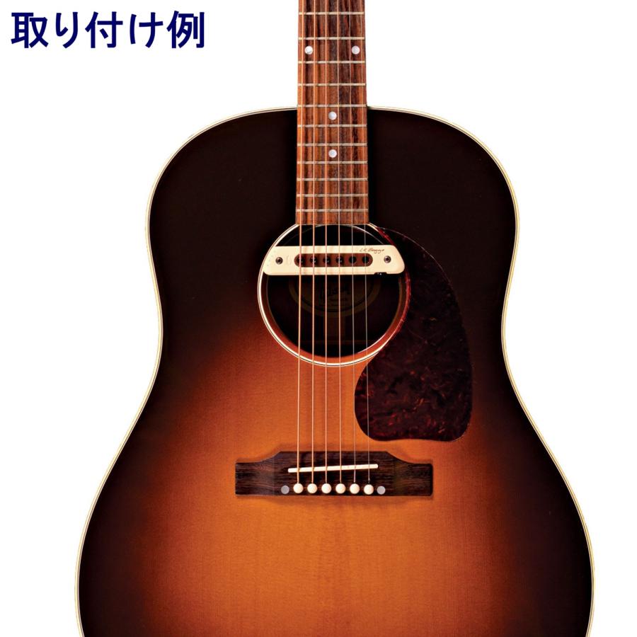 L.R.Baggs M80 / Acoustic Guitar Soundhole Pickup アコースティック 
