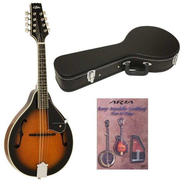 ARIA AM-20 マンドリン 8弦 アリア｜Yahoo!フリマ（旧PayPayフリマ）