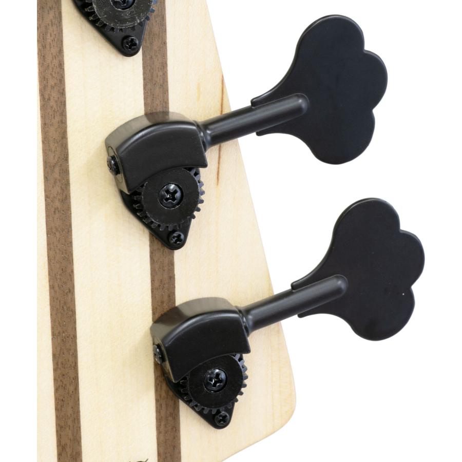 Aria Proll ProII RSB-700WP/5 N (Natural) 5弦ベース/ケース付 : 愛曲