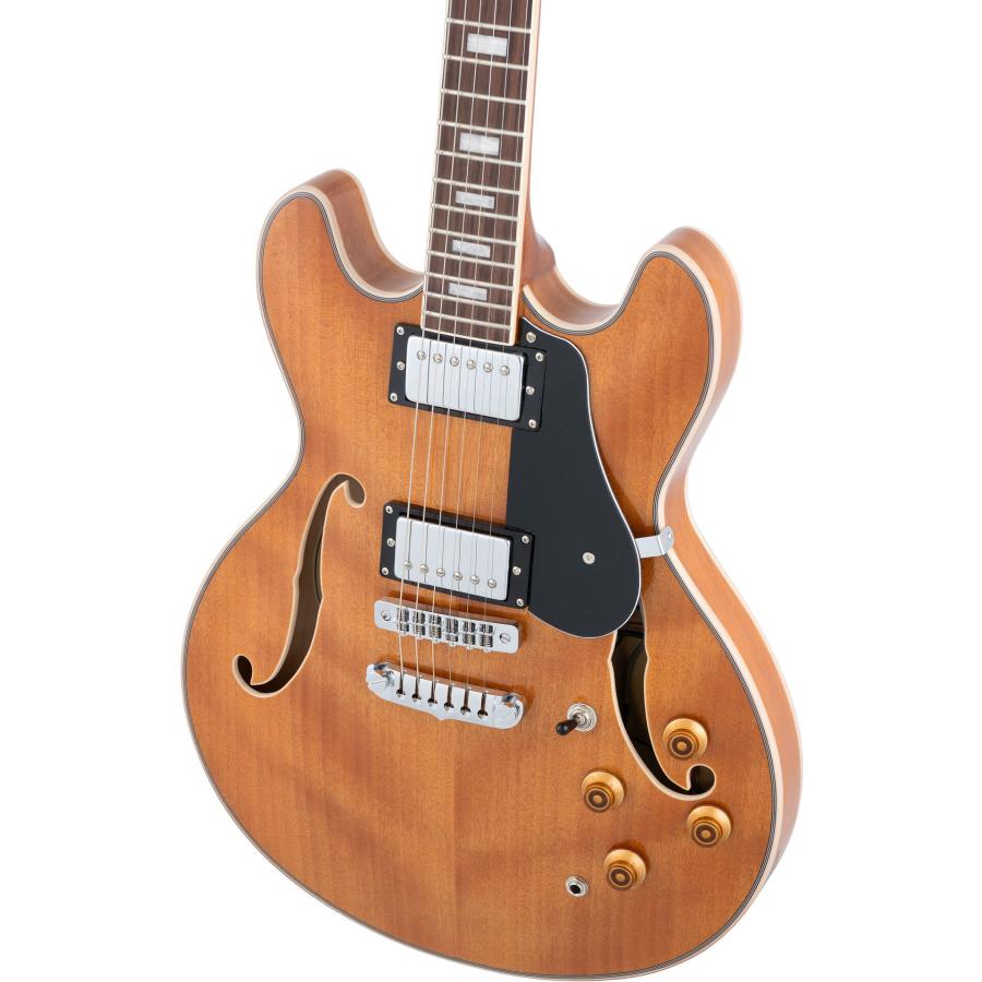 Aria Proll ProII TA-200 MH(Mahogany) セミアコースティックギター