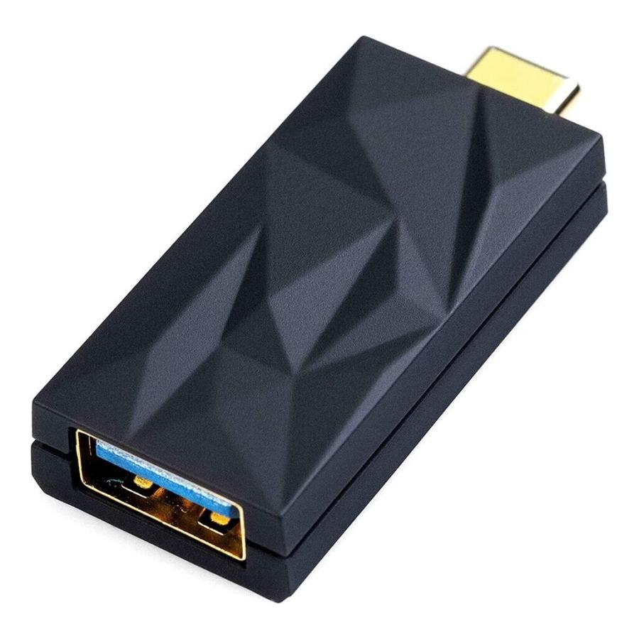 iFi audio（アイファイオーディオ） iFi Audio iSilencer+(CA) / USB-C