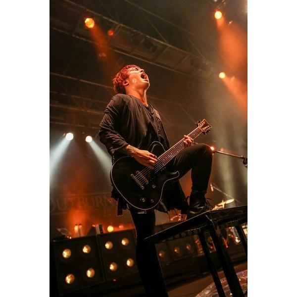 DEFLEPPARD ギターピック 1枚 DEFLEPPARD ギターピック 1枚 DEFLEPPARD ギターピック 1枚