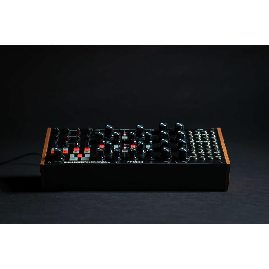 MOOG（シンセサイザー） moog Subharmonicon セミモジュラー・ポリ