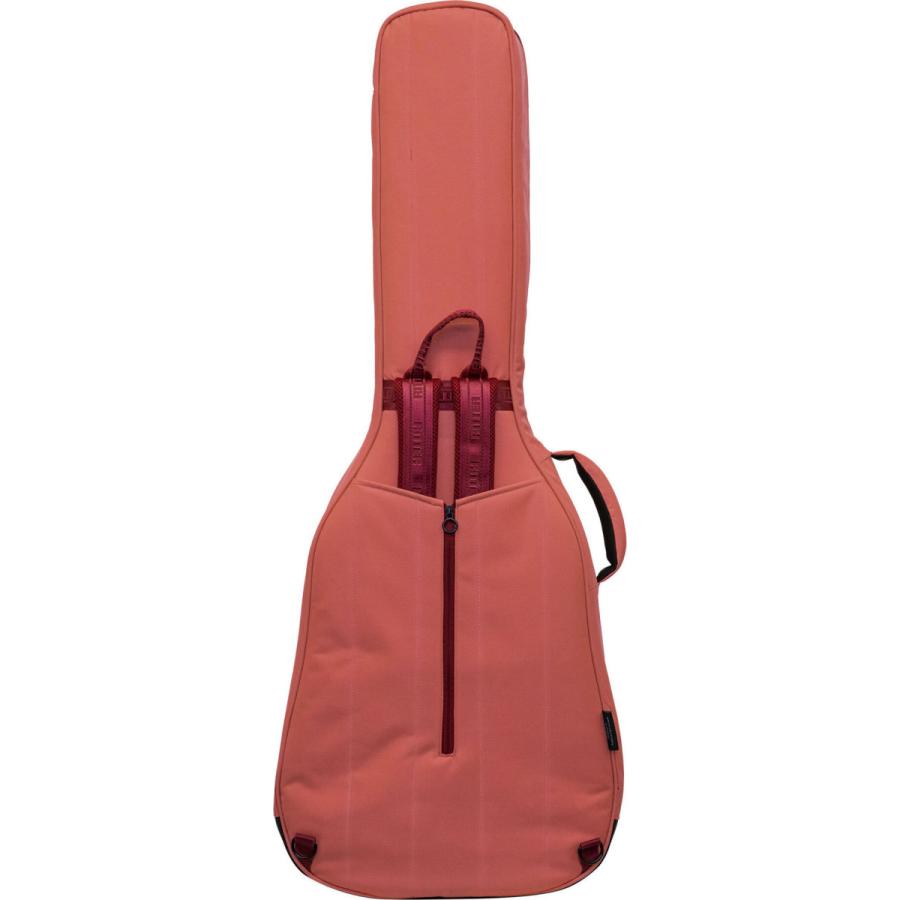 フォークギターとギターケース RITTER RGB4-F FRO フォークタイプ アコースティックギター 用