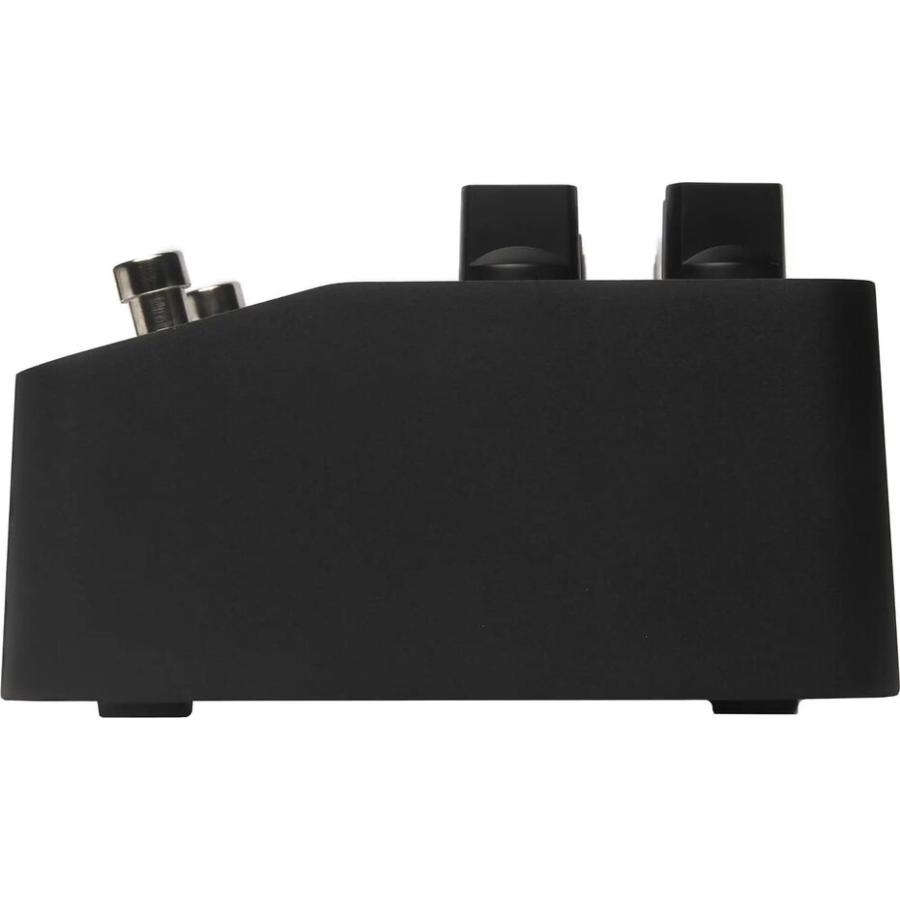 Two Notes ReVolt Guitar アナログアンプシミュレーター Two notesからギター用・ベース用アナログ・アンプ