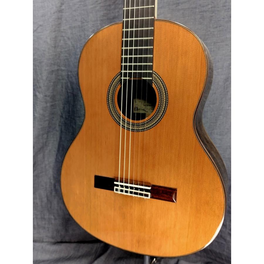 Aria A-50C-63 アコースティックギター ARIA（アリア） ARIA A-50C クラシックギター セダー単板トップ : 愛曲