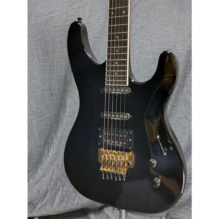 Aria Proll 【アウトレット特価】AriaProII RS-CUSTOM BK(Black