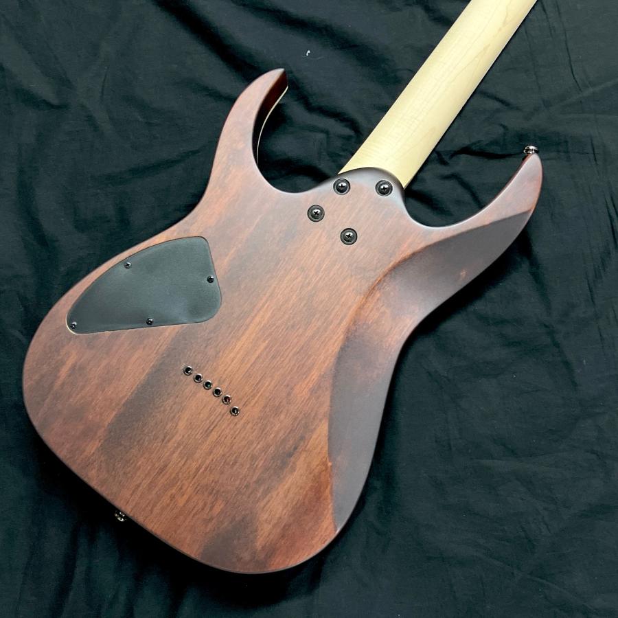 Ibanez RG421S SEM(Sea Shore Matte) エレキギター アイバニーズ