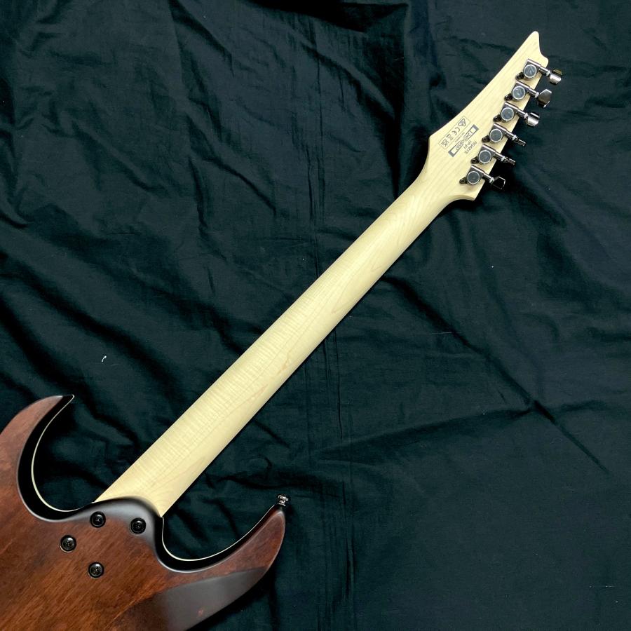 Ibanez RG421S SEM(Sea Shore Matte) エレキギター アイバニーズ