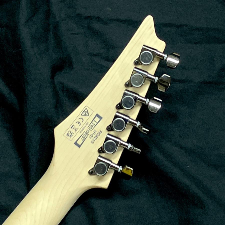 美品　IBANEZ RG421S SEM エレキギター ソフトケース付き Ibanez RG421S-SEM Sea Shore Matt Standard RG Series Electric