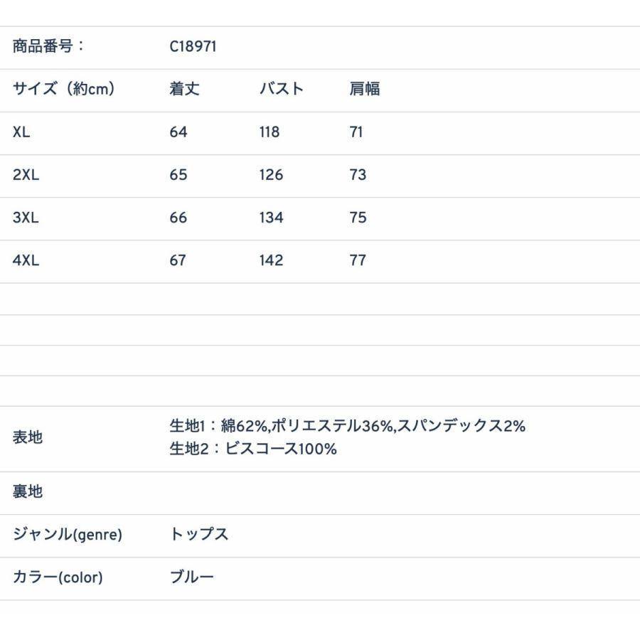 ボーダー×ドット柄切替Tシャツ　トップス　カジュアル　夏服　レディース　現品限り　特価　ドルマンスリーブ　半袖　大きいサイズ　LL-5L　202107　202108 |  | 03