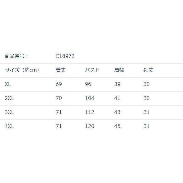 ブラウス　トップス　胸元フリル　夏服　レディース　現品限り　特価　シフォン切替　半袖　エレガント　大きいサイズ　LL-3L　202107　202108 |  | 04