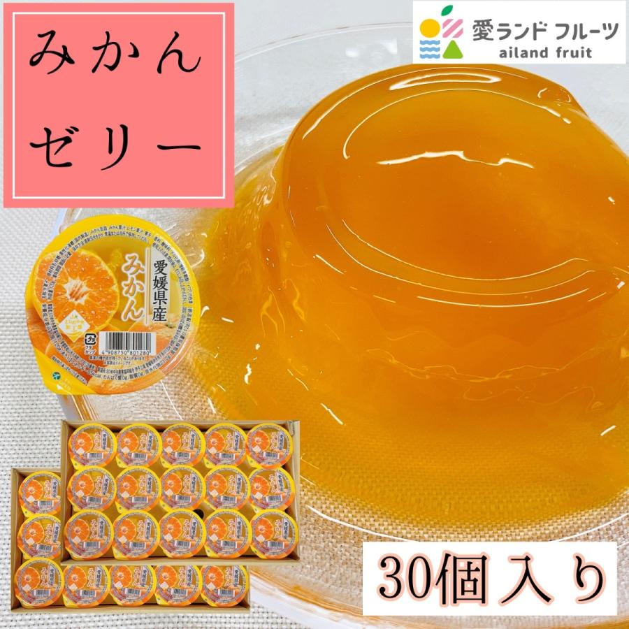 みかんゼリー 愛媛県産 30個入り JAえひめ中央 ゼリー みかん 国産