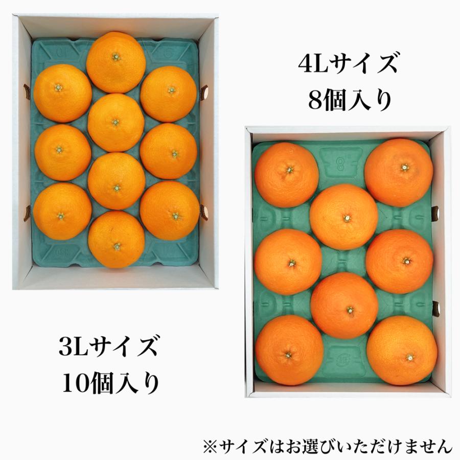 紅まどんな 愛媛県産(JAうま) 化粧箱 秀品 3L~4Lサイズ : 愛ランド