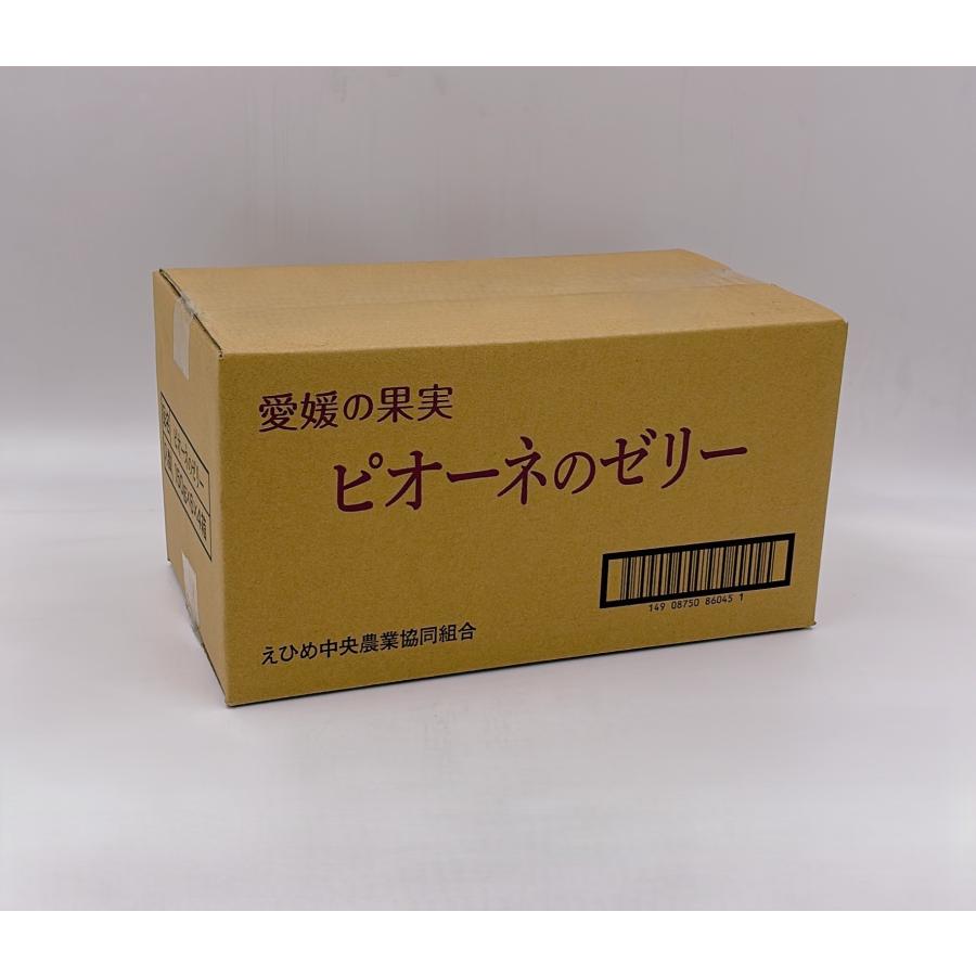愛媛の果実 ピオーネのゼリー 4箱セット （6パック/箱） : 愛ランド