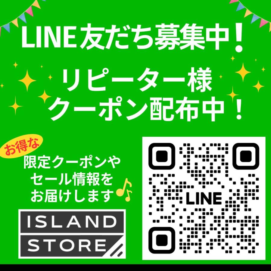 I-O DATA（アイ・オー・データ機器） スティック型SSD SSPS-US1GR/Y 外