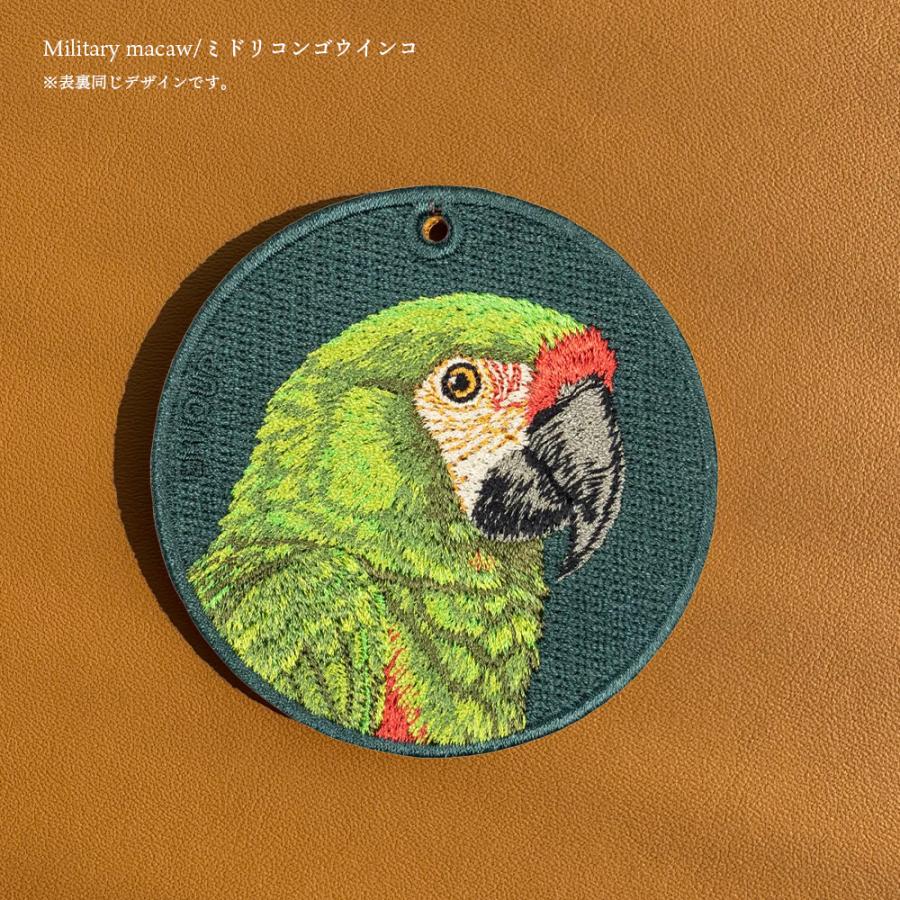 ミドリコンゴウインコ インコ 鳥 トリ ペット プレゼント ギフト