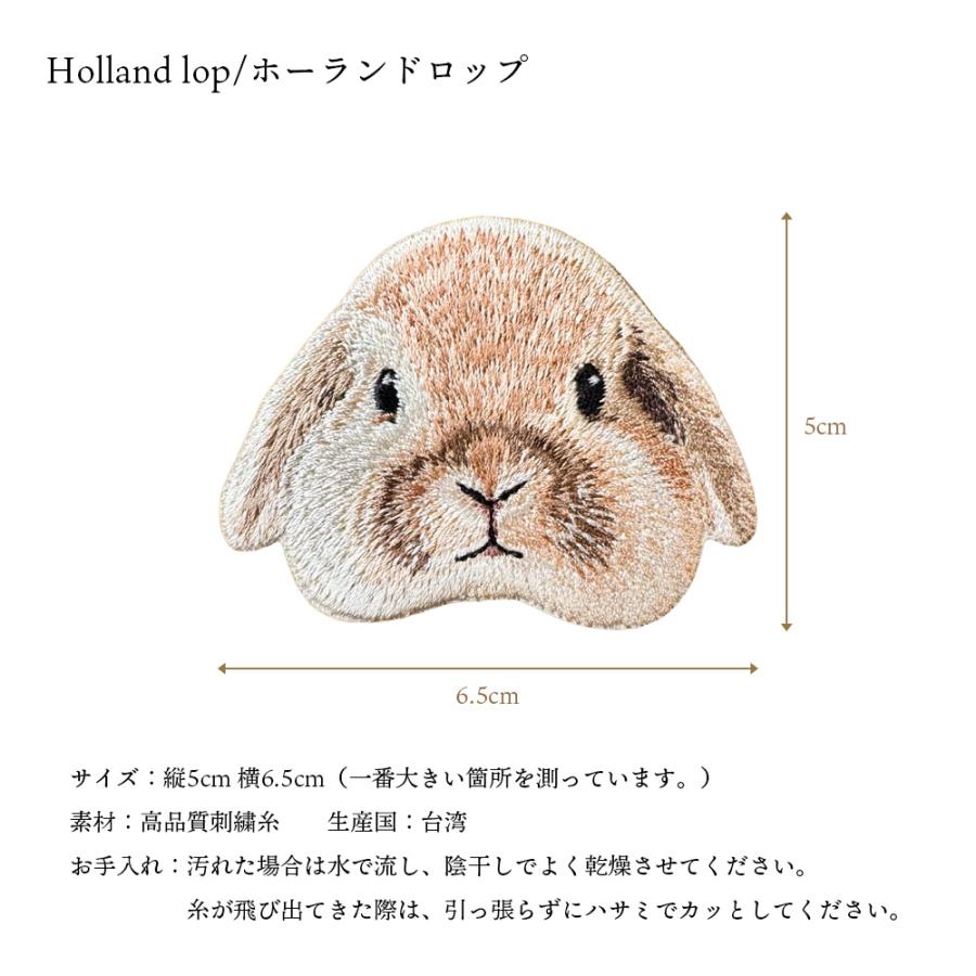 ワッペン 刺繍ワッペン アイロンワッペン 動物 刺繍 ブタ 豚 子ブタ