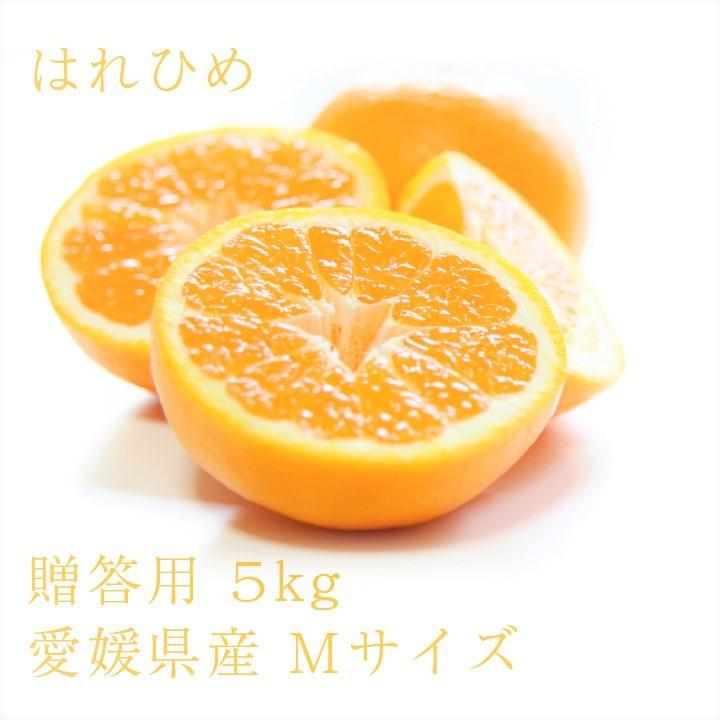 はれひめ おいしい みかん 愛媛 中島産 フルーツ 柑橘 贈答用 M5kg 送料無料 hpm5みかん舟船長おすすめみかん 通販 Yahoo!ショッピング