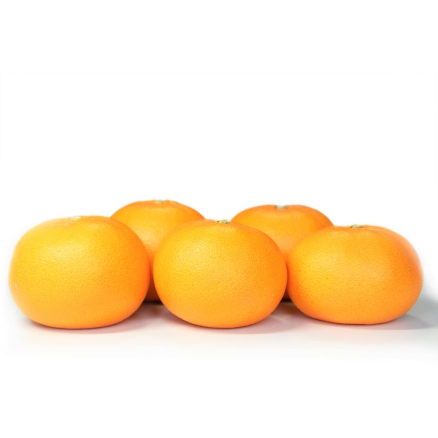 せとか おいしい みかん 愛媛 中島産 フルーツ 柑橘 家庭用 5kg 送料無料｜ailine｜03