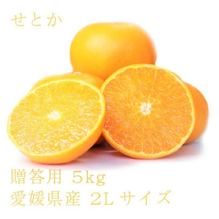 せとか おいしい みかん 愛媛 中島産 フルーツ 柑橘 贈答用 5kg 送料別