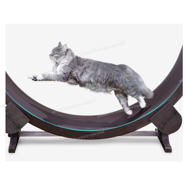 高品質 猫 ランニングマシン キャット ウォーキング 猫用品 Www Indiashopps Com