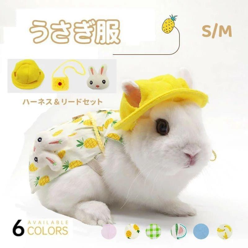 ペット服 うさぎ用 うさぎ服 うさぎ ハーネス 小動物用 ウサギ 服 モルモット お散歩 お出かけ用ハーネス リードセット 果物 かわいい 涼しい 記念撮影 小動物 Aime765 エマーブルストア 通販 Yahoo ショッピング