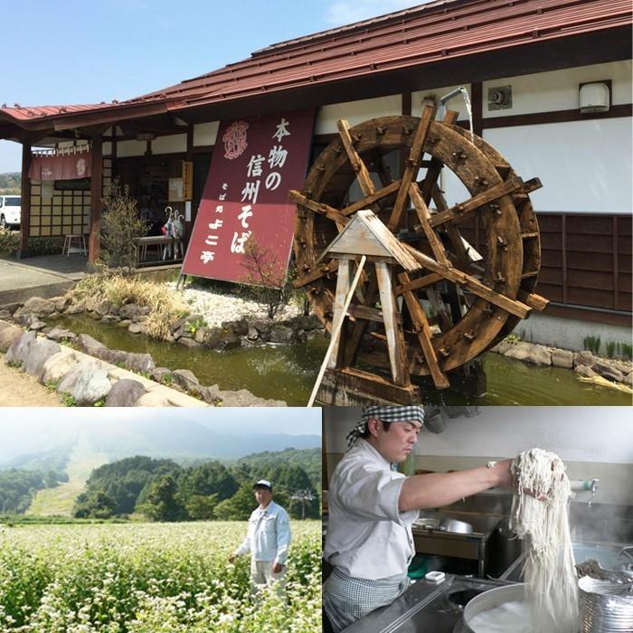 長野県 / 送料無料 信州半生そばセット　４食分　信州 生そば よこ亭 お中元 お歳暮 年越しそば ざるそば めんつゆ付き |  | 02