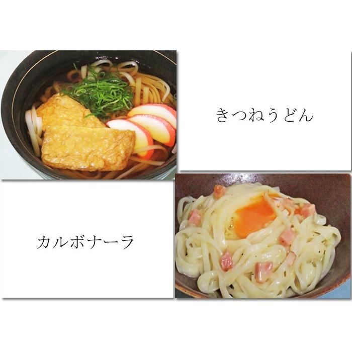 愛知県 / 送料無料 米粉うどん 3食セット 米粉 麺 小麦卵アレルギー アトピー 食塩不使用 グルテンフリー コシヒカリ　 |  | 03