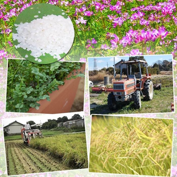 愛知県れんげちゃん米使用 / 送料無料 米粉パスタ 3食セット 米粉 麺 小麦卵アレルギー アトピー 食塩不使用 グルテンフリー コシヒカリ |  | 01