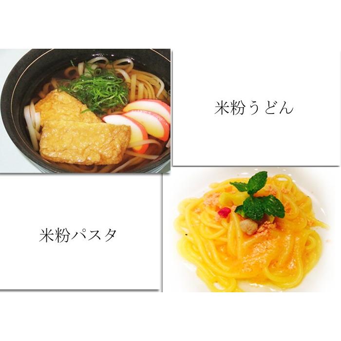 愛知県 / 送料無料 米粉うどん＆米粉パスタ 6食セット 米粉 麺 小麦卵アレルギー アトピー 食塩不使用 グルテンフリー コシヒカリ　 |  | 03