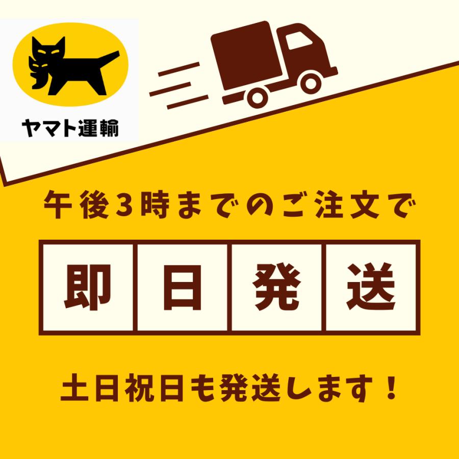 本革 バイク ツールバッグ ロール 車載工具 収納 ケース 牛革 レザー ハーレー アメリカン ツーリング メンテナンス ブラウン ブラック 2色 |  | 06
