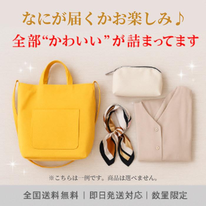 福袋 2026 レディース お楽しみ袋 アパレル 雑貨 バッグ アクセサリー