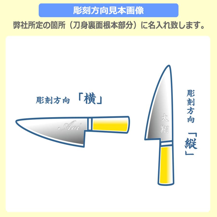 グレステン 包丁 名入れ プロティナイフ S 250mm 025TSK GLESTAIN 黒