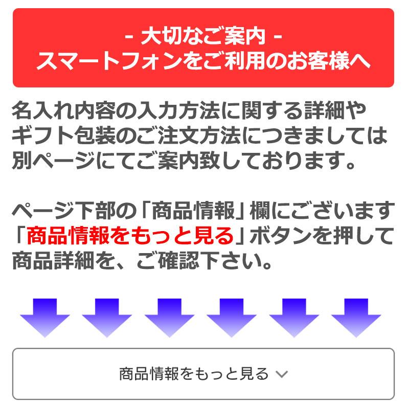 グレステン 包丁 名入れ 出刃包丁 240mm 224WK GLESTAIN 黒積層強化木