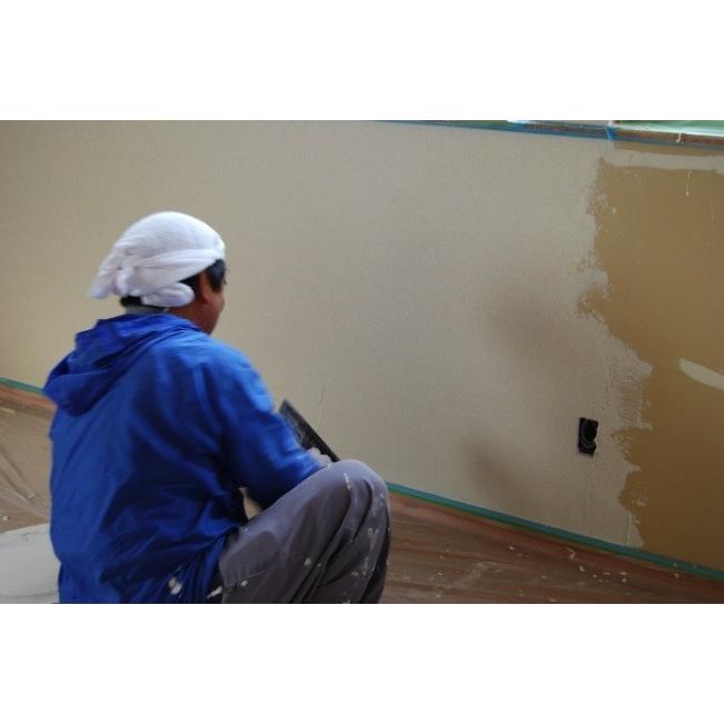 ほたて漆喰スムース Hs 6山吹色 15kg 11m2分 塗厚1 5mm ｄｉｙ 漆喰 リフォーム 送料無料 Zen06 あいもり株式会社 通販 Yahoo ショッピング