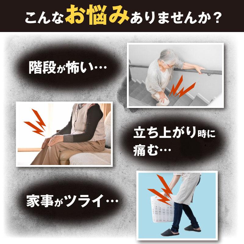 膝サポーター ひざ極らーくプレミアム 左右2枚入り 膝 関節 靭帯 痛み