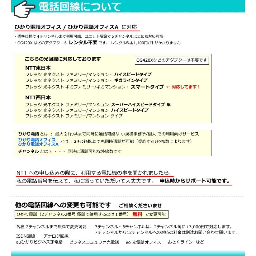 NTT ビジネスフォン N1 電話機３台 ★ 設定済 オーダーメイド配線 ★ αN1 ひかり電話オフィス に対応 ★ αZX ZX の１世代前の機種