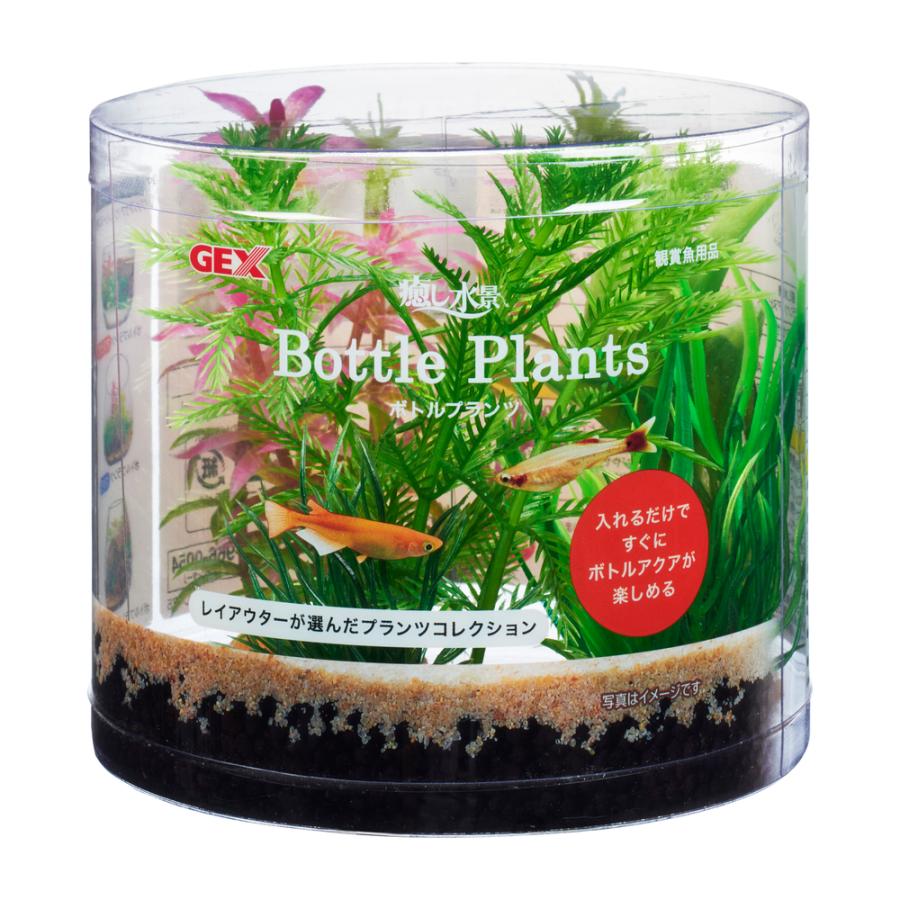 市場 ジェックス GEX 水槽用具 ペット用品 たっぷりアンブリア 癒し水景 市場 ジェックス GEX 水槽用具 ペット用品 たっぷりアンブリア 癒し水景